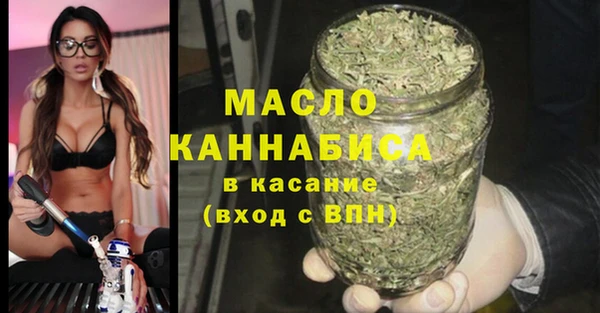 индика Протвино