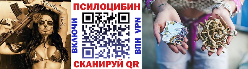 Галлюциногенные грибы Magic Shrooms  как найти закладки  Каменск-Шахтинский 
